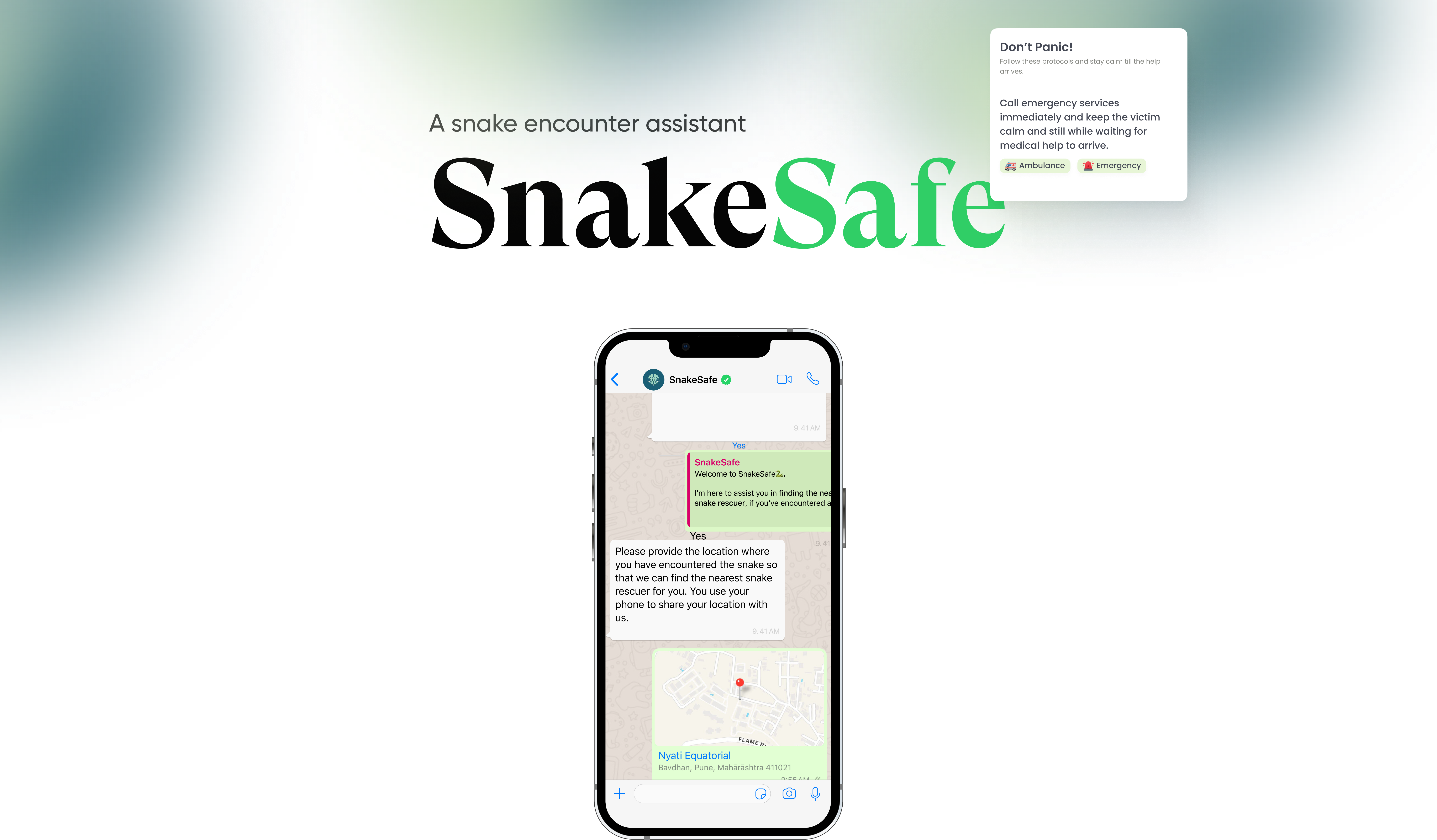 SnakeSafe case study, slide 1 of 14