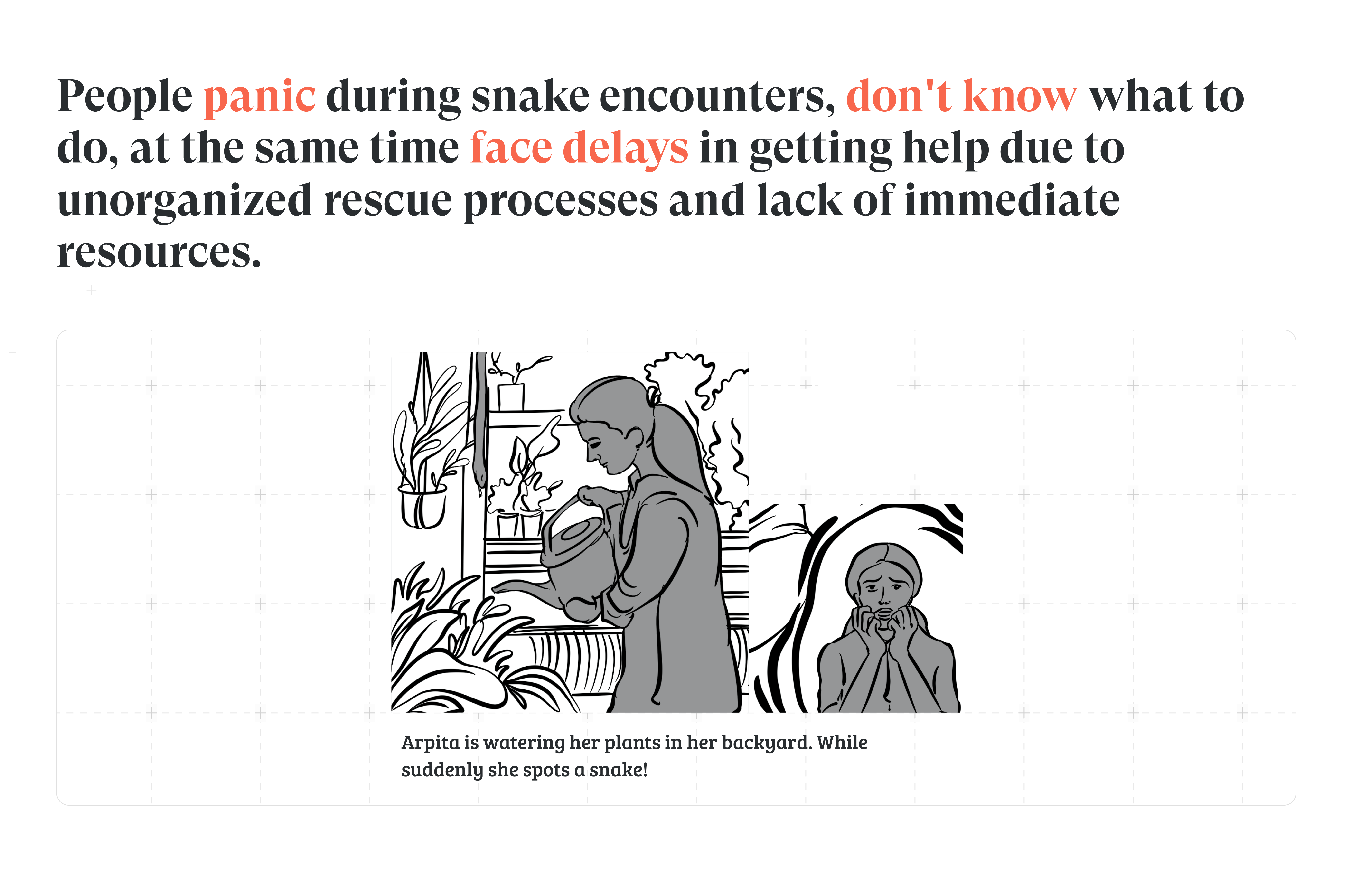 SnakeSafe case study, slide 3 of 14