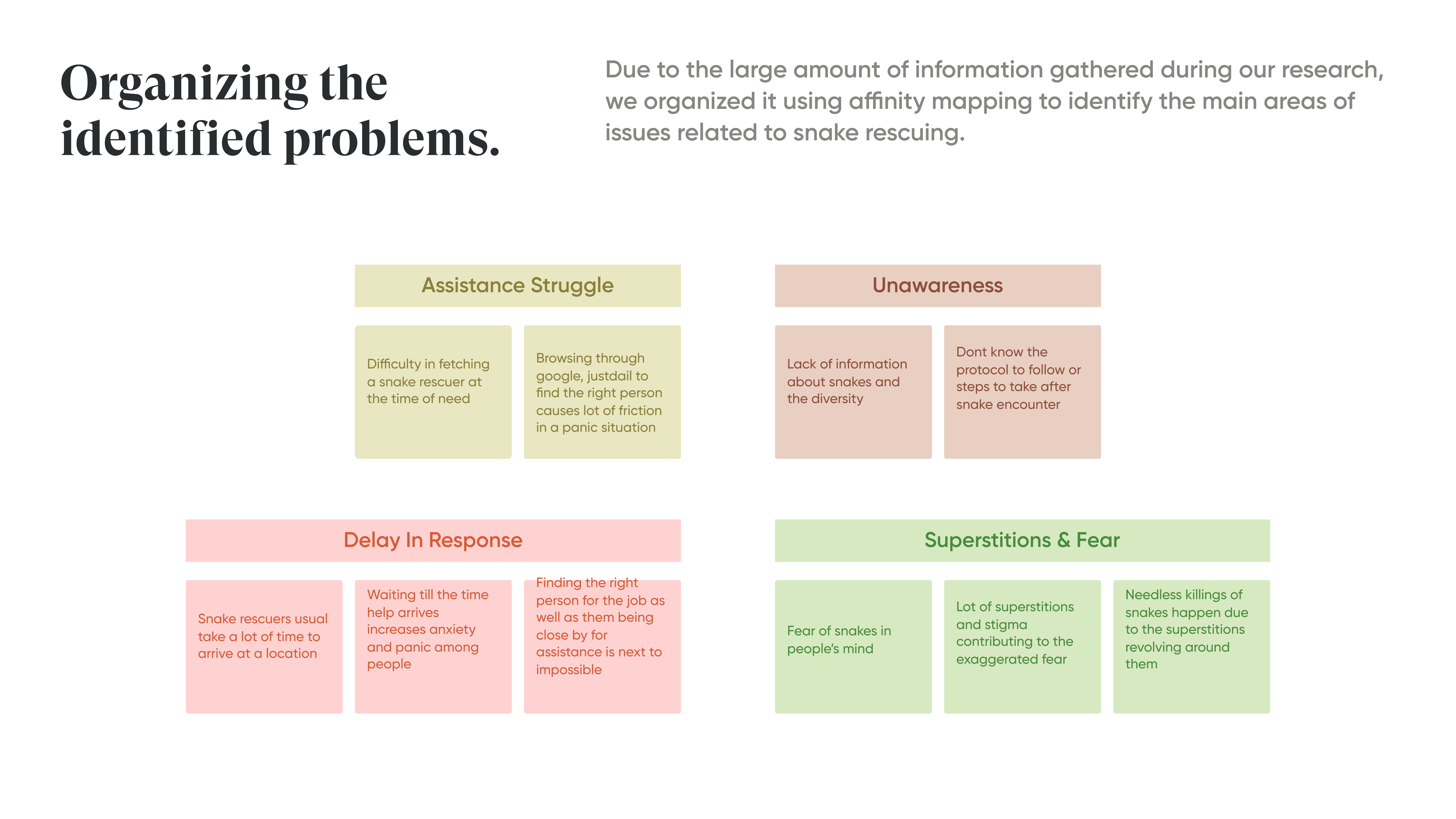 SnakeSafe case study, slide 6 of 14
