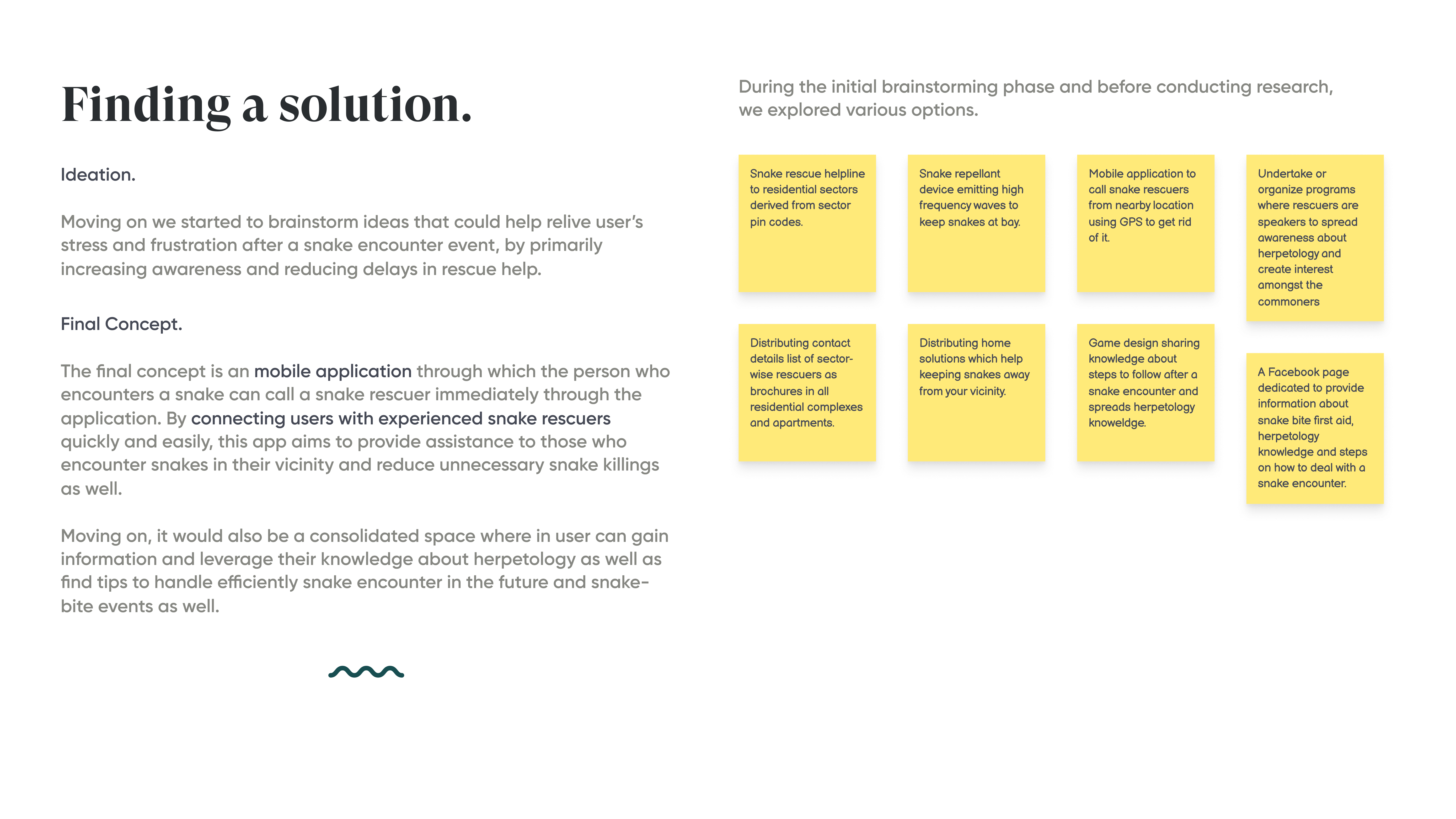 SnakeSafe case study, slide 7 of 14