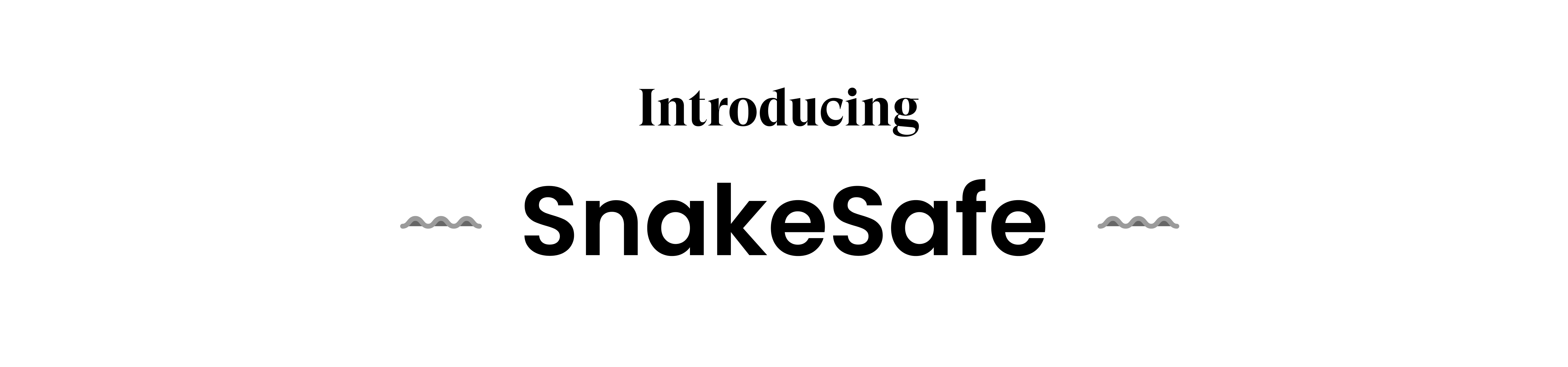 SnakeSafe case study, slide 9 of 14