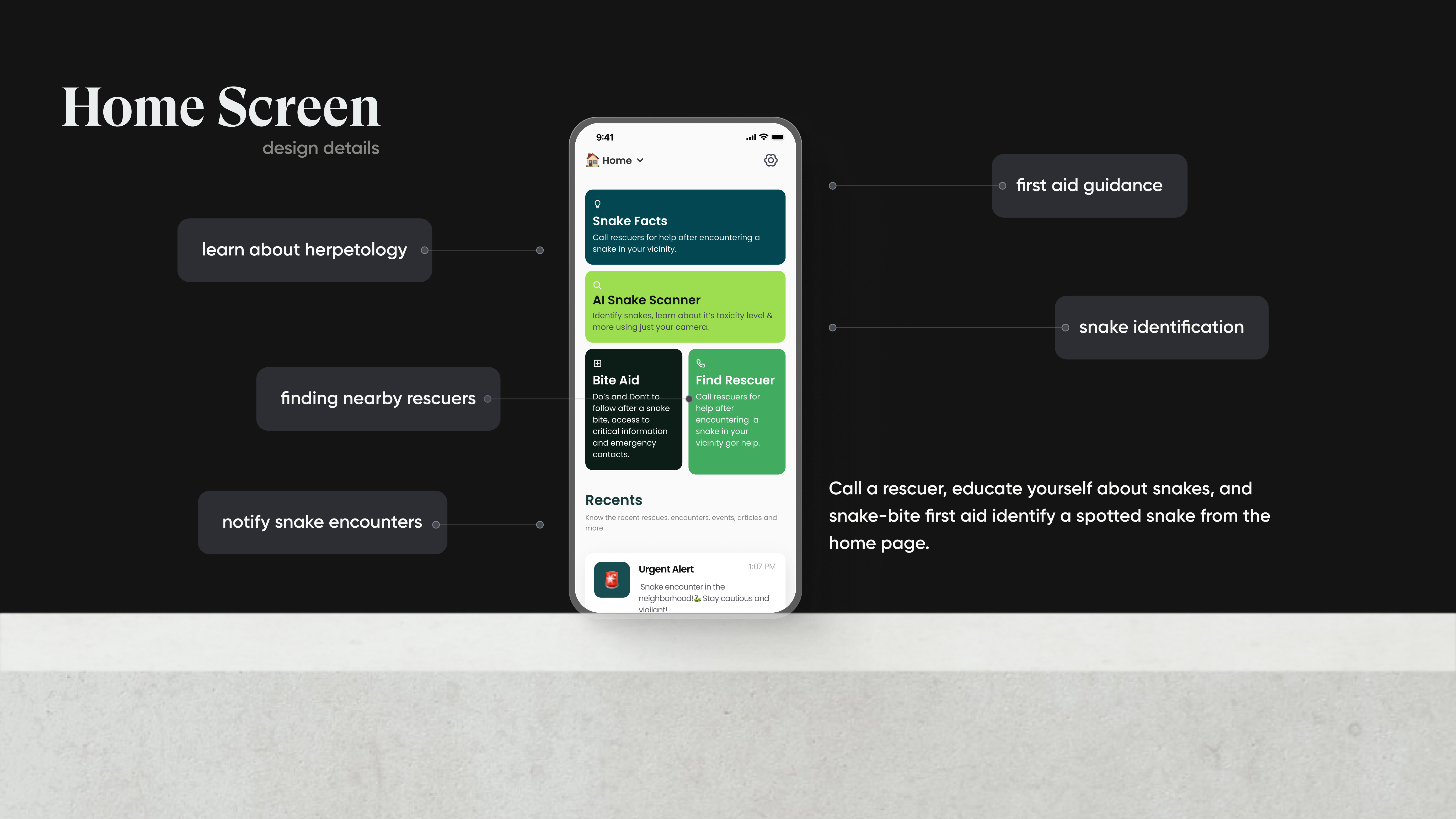 SnakeSafe case study, slide 10 of 14